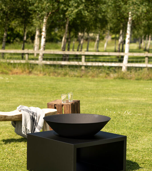 fire pit with log store