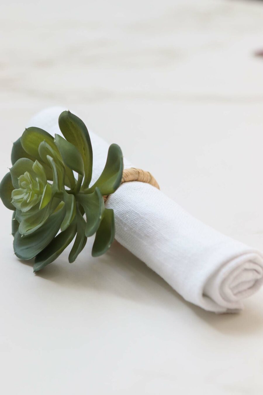 two succulent napkin rings
