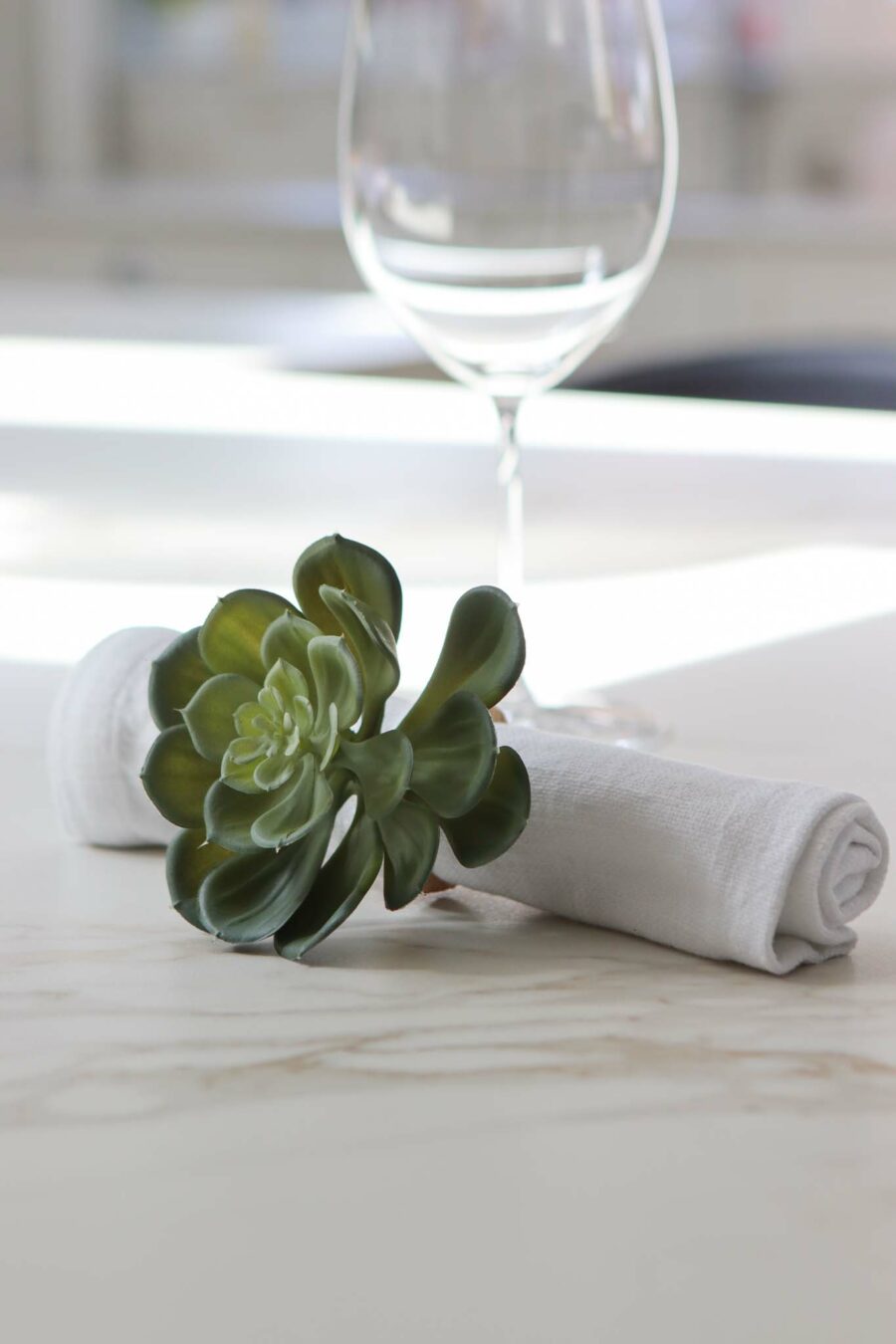 two succulent napkin rings