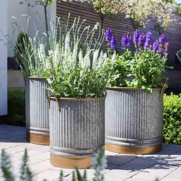three galvenised metal and gold planters