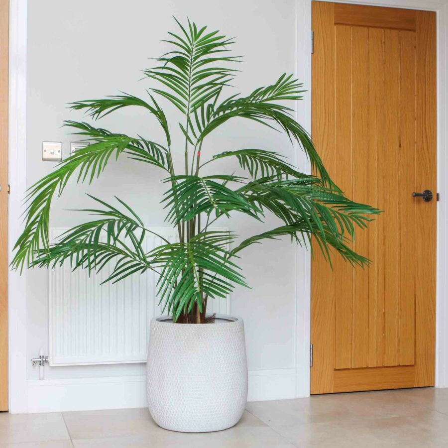 faux areca palm