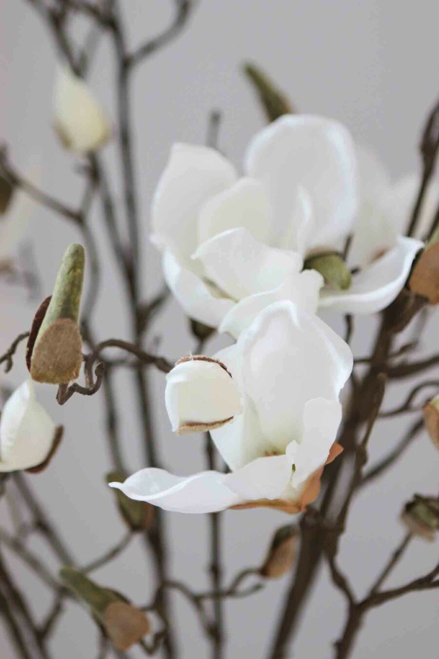 three faux light cream magnolia branch stems