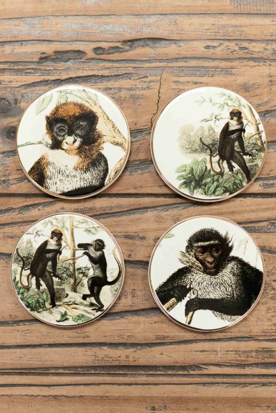 vintage monkey coasters four pack