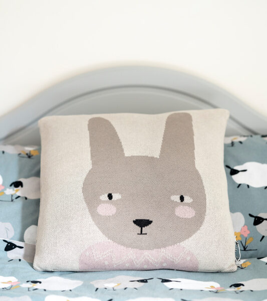 brer bunny cushion