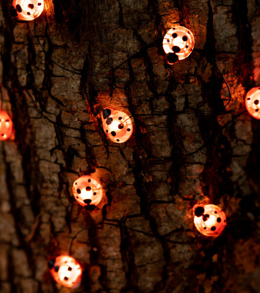 30 micro led string lights red ladybird