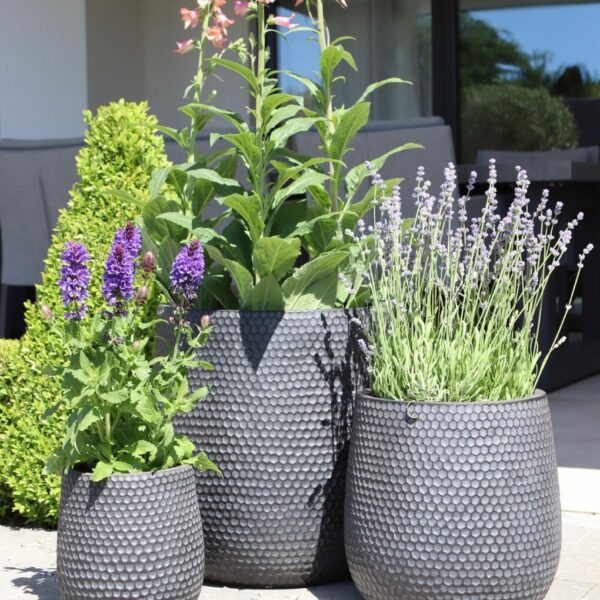 three honeycomb planters black