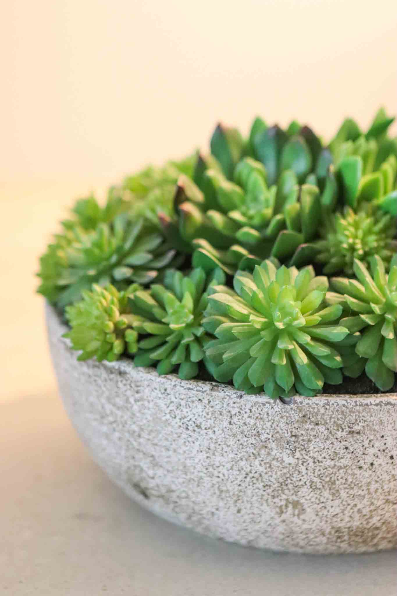 large faux mixed succulent in stone bowl