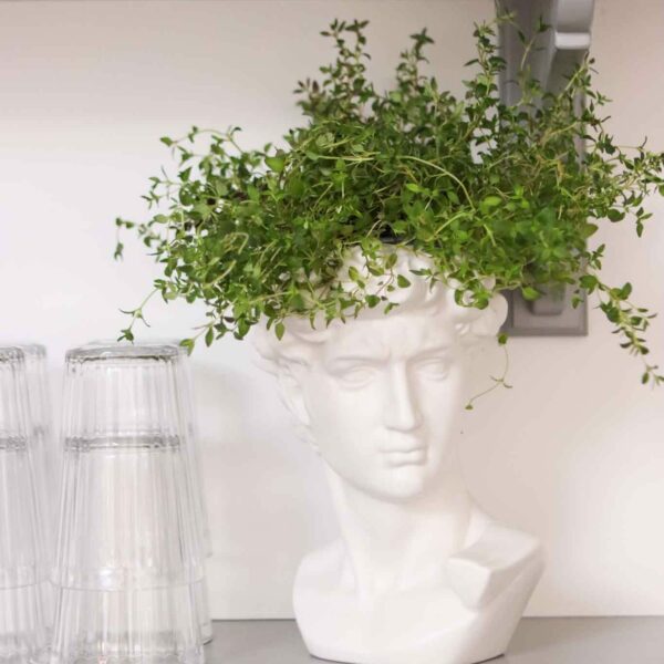 faux marble grecian bust planter
