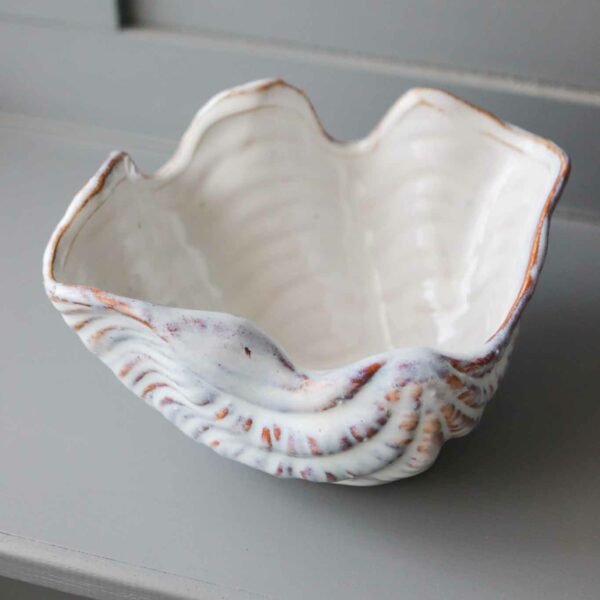 cream clam shell