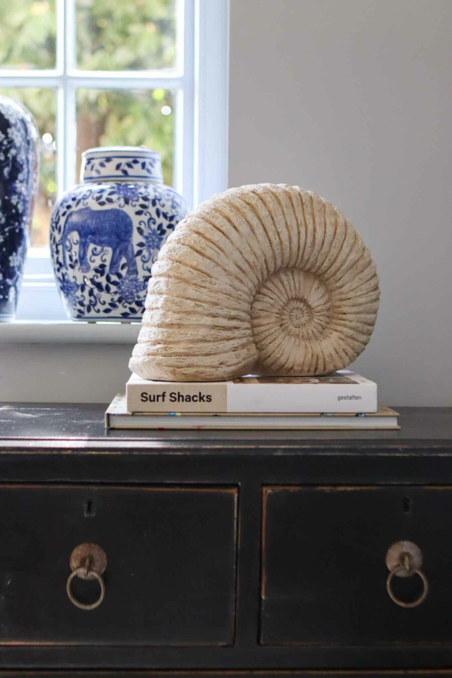 large ammonite shell decoration