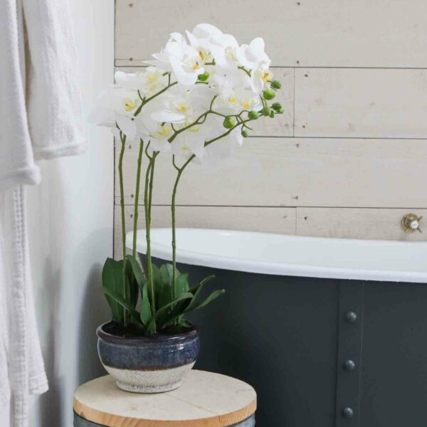 faux white orchid in mottled pot