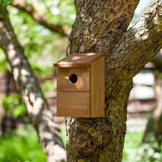 chapel wood premium quality nest box