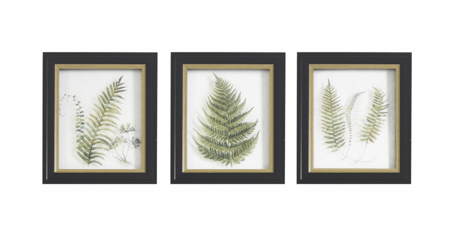 three botanical wall art