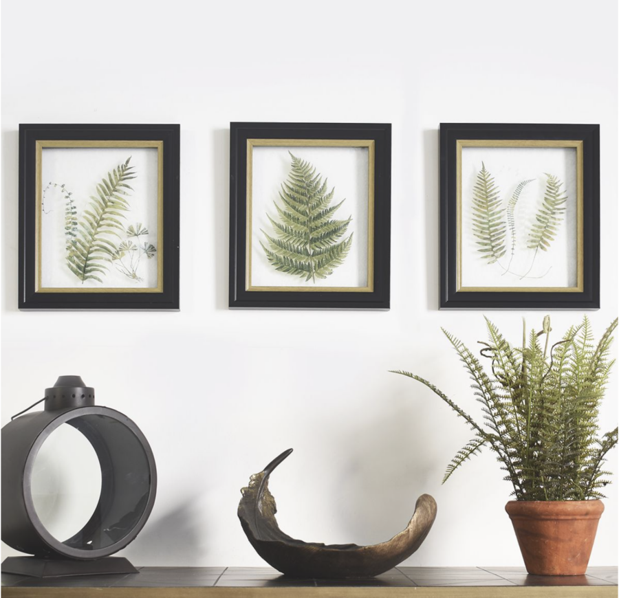 three botanical wall art