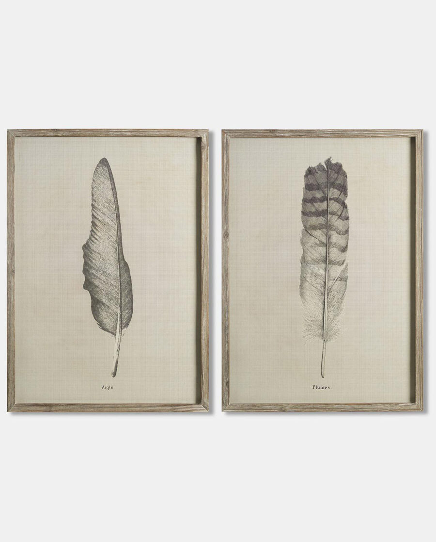 two feather sketch prints