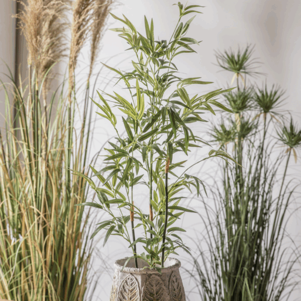 bamboo with leaves