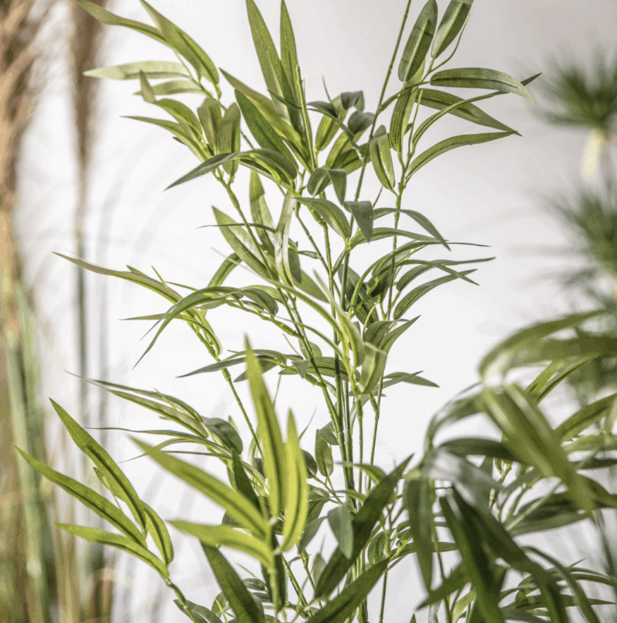 bamboo with leaves