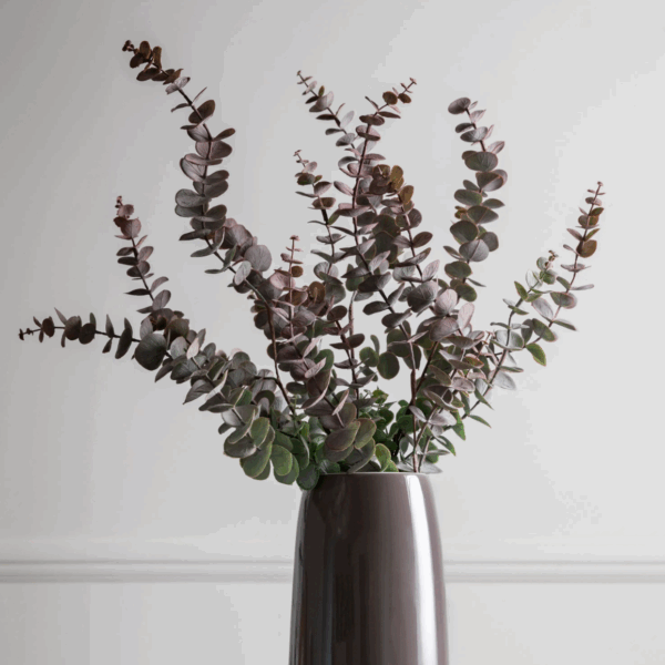 eucalyptus spray dusky damson 6 pack