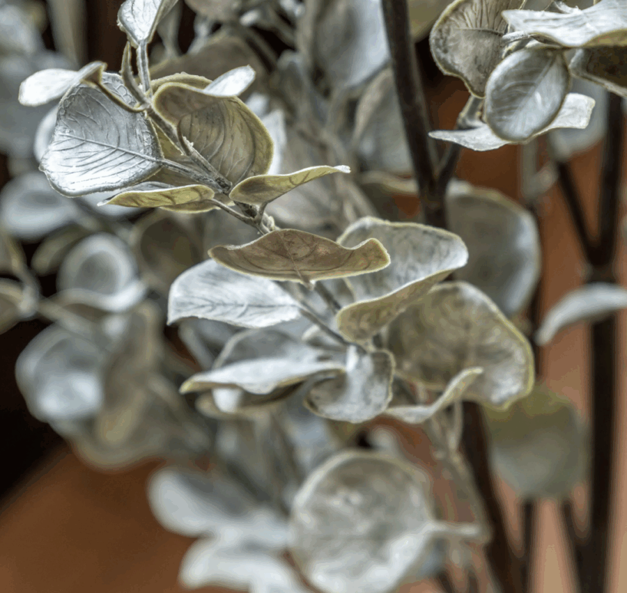 faux eucalyptus in ceramic pot ivory