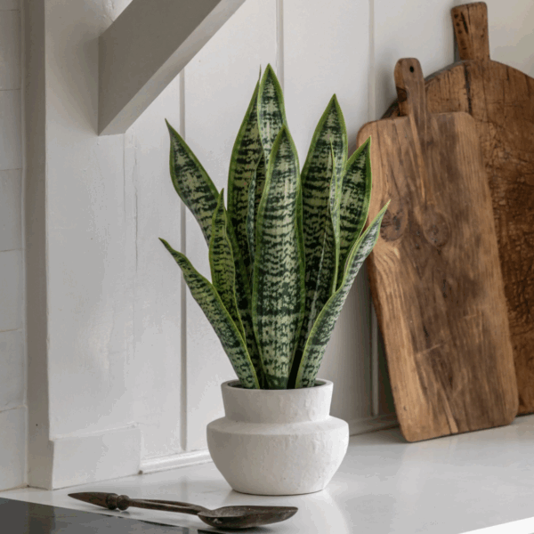 faux snake plant in ceramic pot