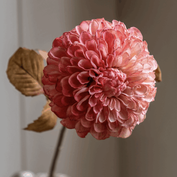 faux stem dahlia 6 pack apricot