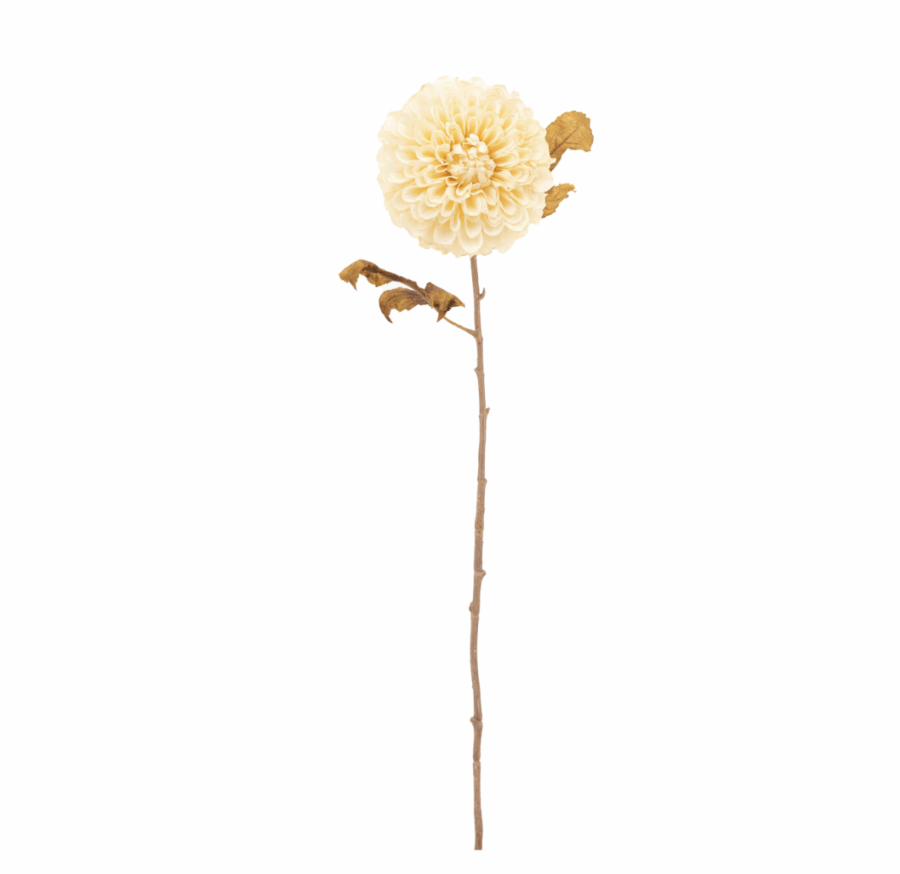 faux stem dahlia 6 pack pale ivory