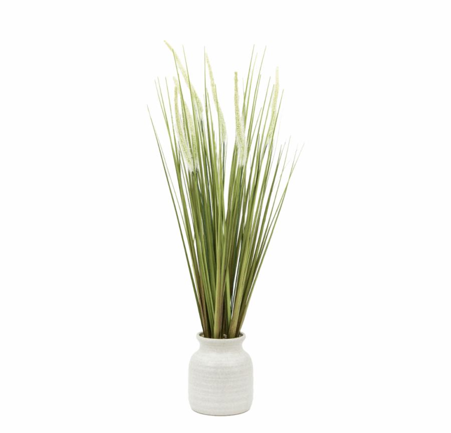 potted grass with feathered wildflower