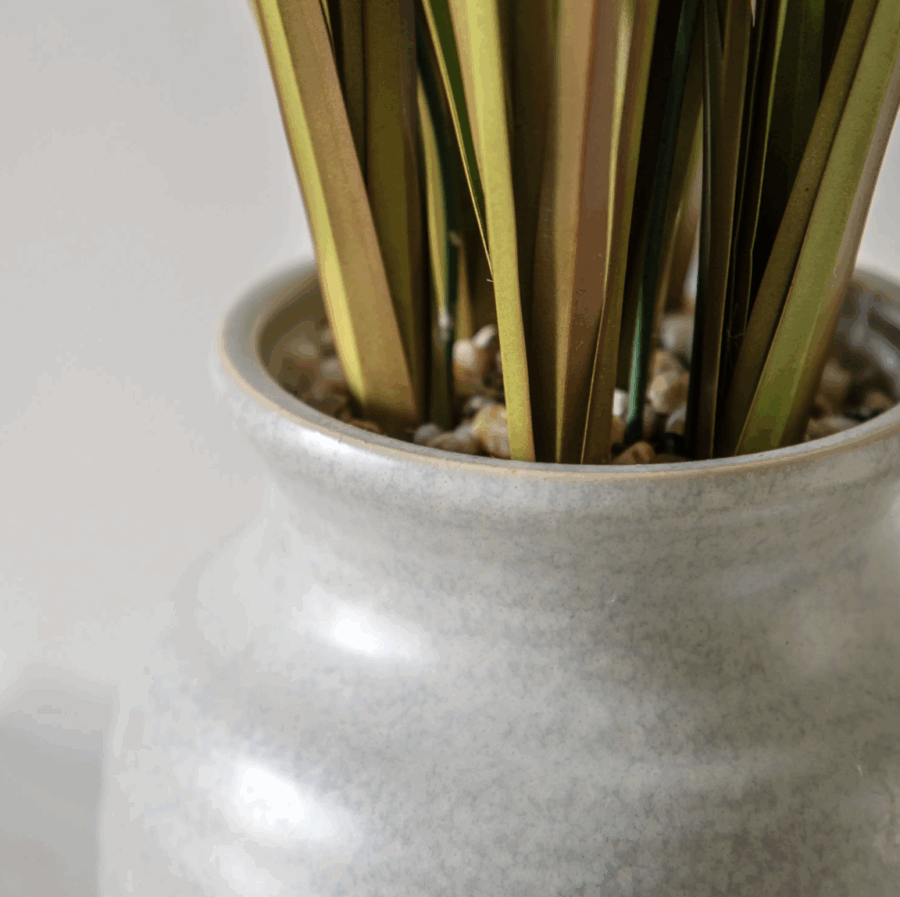 potted grass with feathered wildflower