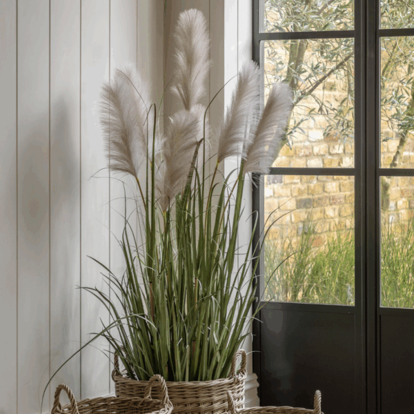 potted grass with pampas seed heads