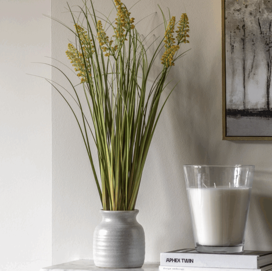 potted grass with yellow wildflower