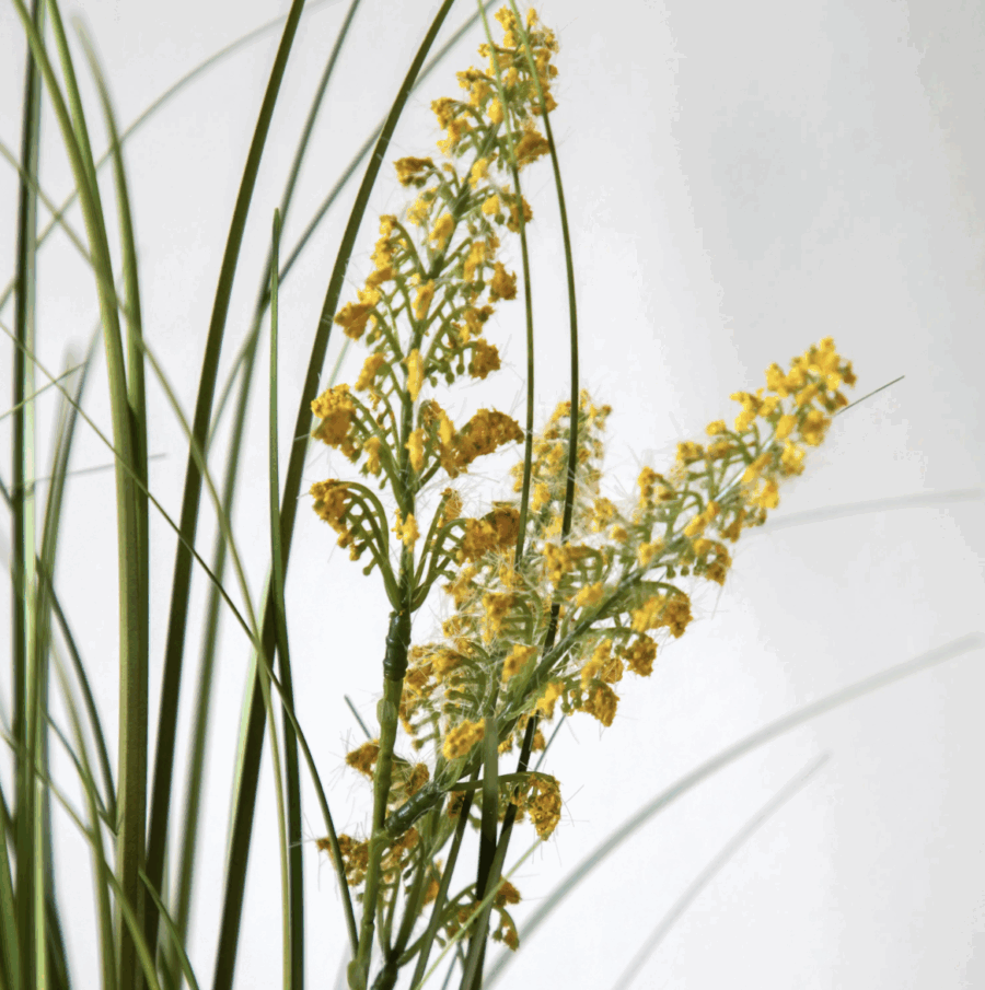 potted grass with yellow wildflower