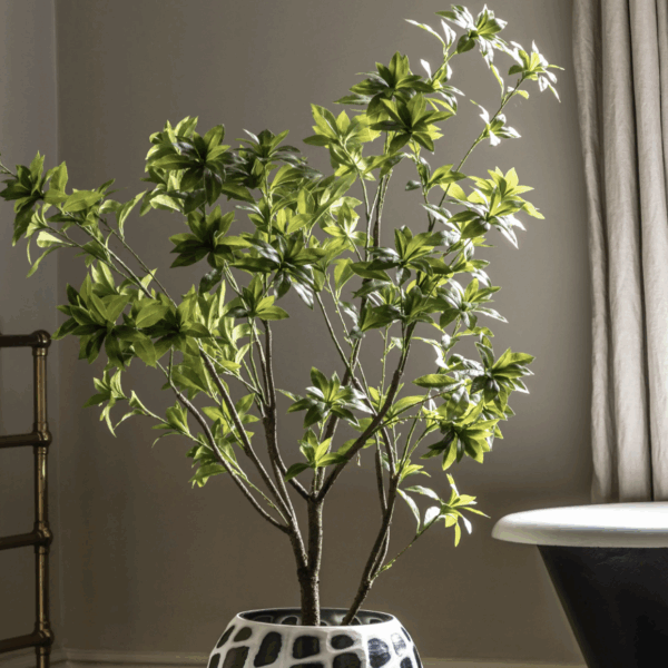potted king kentia palm tree small (copy)