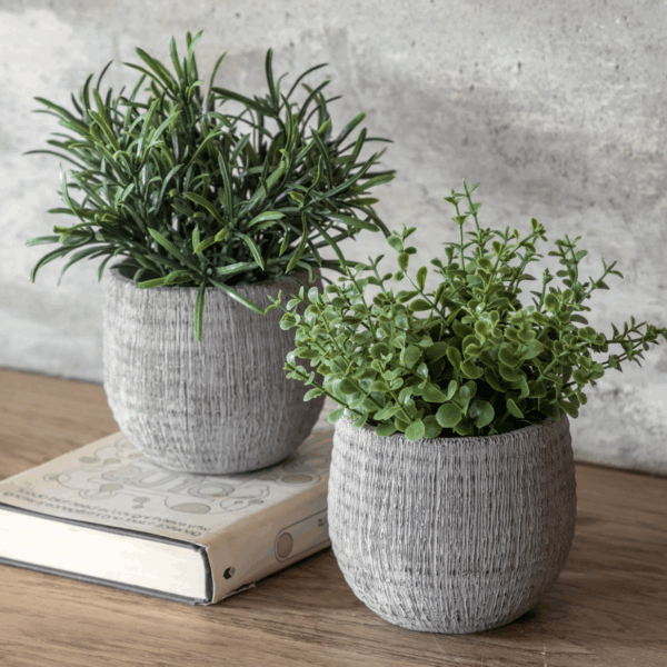 potted plant ceramic scratch pot rosemary set of 2