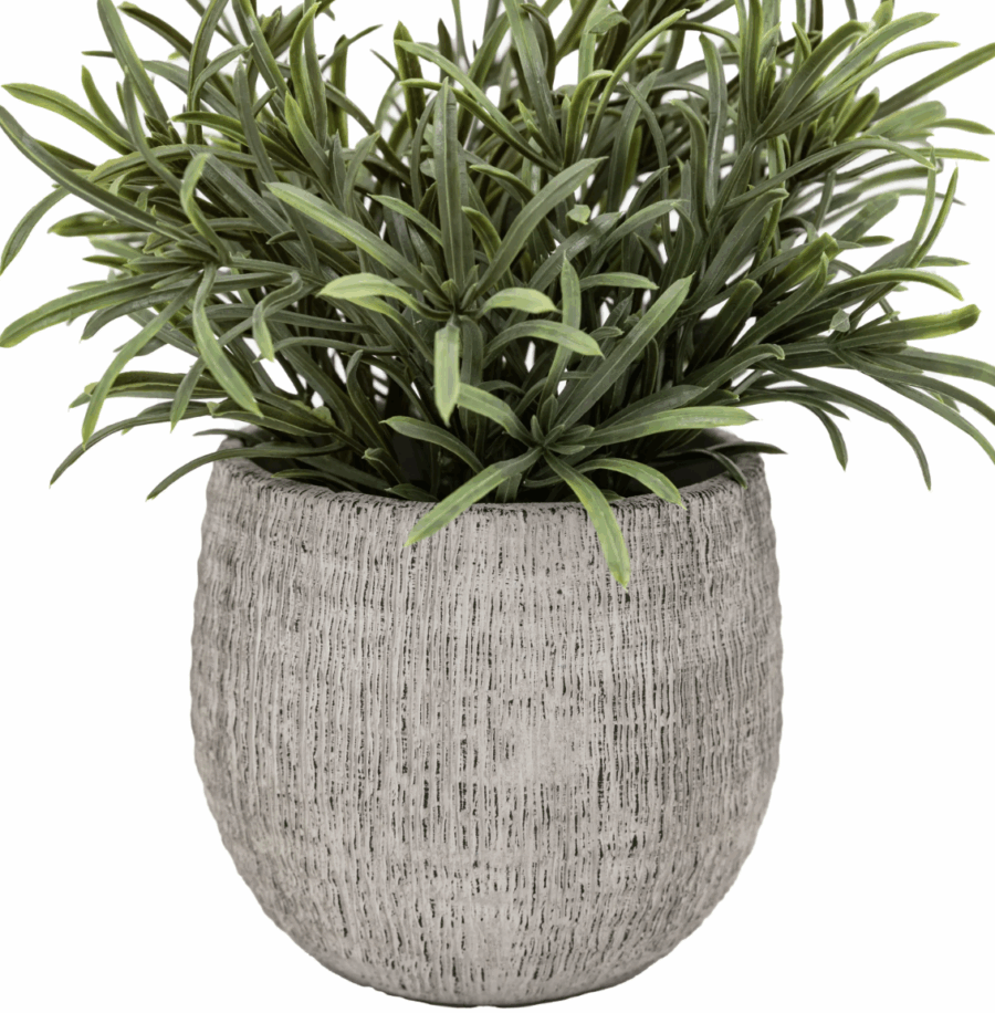 potted plant ceramic scratch pot rosemary set of 2