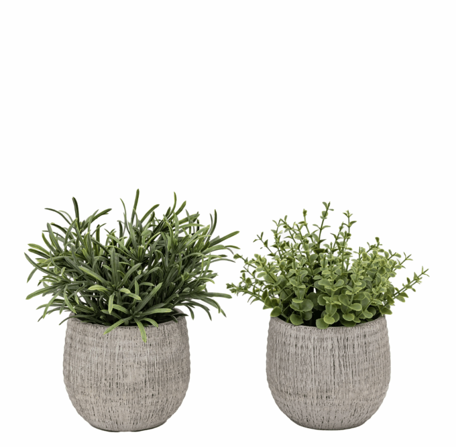potted plant ceramic scratch pot rosemary set of 2