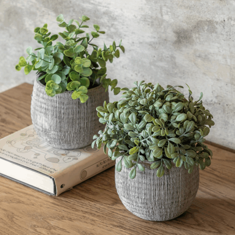 potted plant ceramic scratch pots sage set of 2