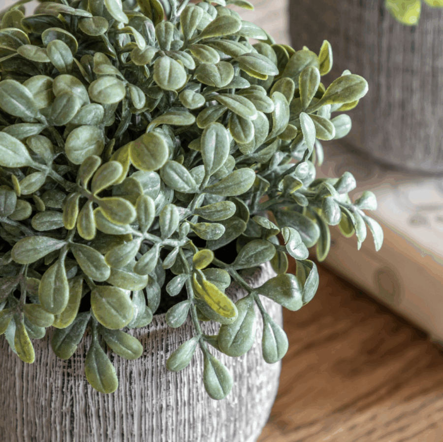 potted plant ceramic scratch pots sage set of 2