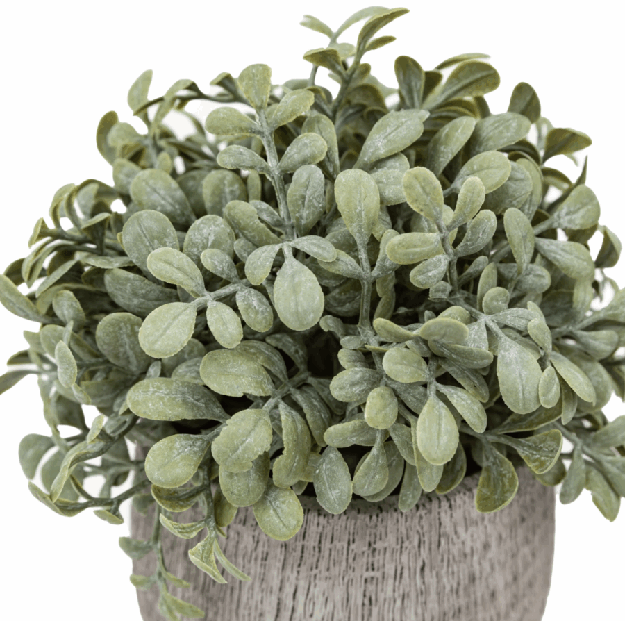 potted plant ceramic scratch pots sage set of 2