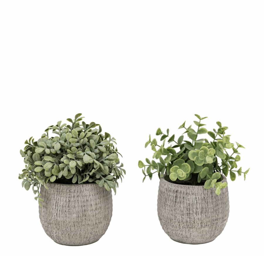 potted plant ceramic scratch pots sage set of 2