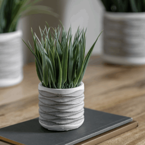 grass in wavy pot small 2 pack