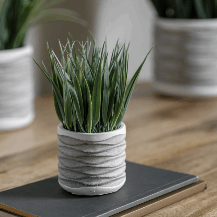 grass in wavy pot small 2 pack