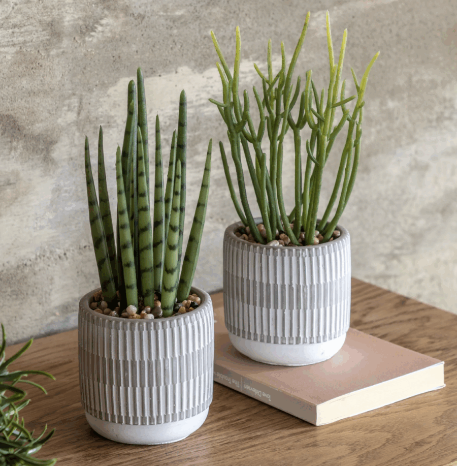 small succulents ceramic pots set of 2