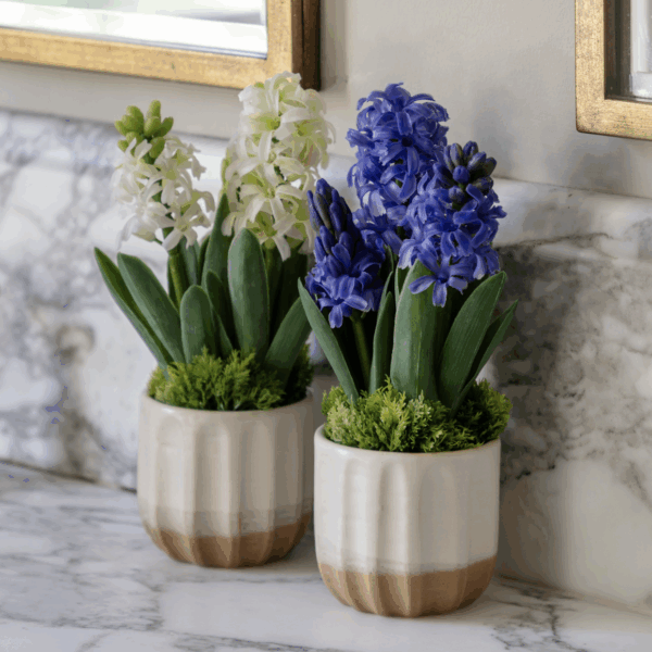 spring hydrangea in ceramic pots set of 2