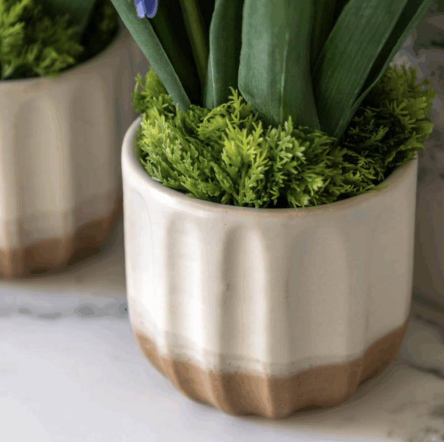 spring hydrangea in ceramic pots set of 2