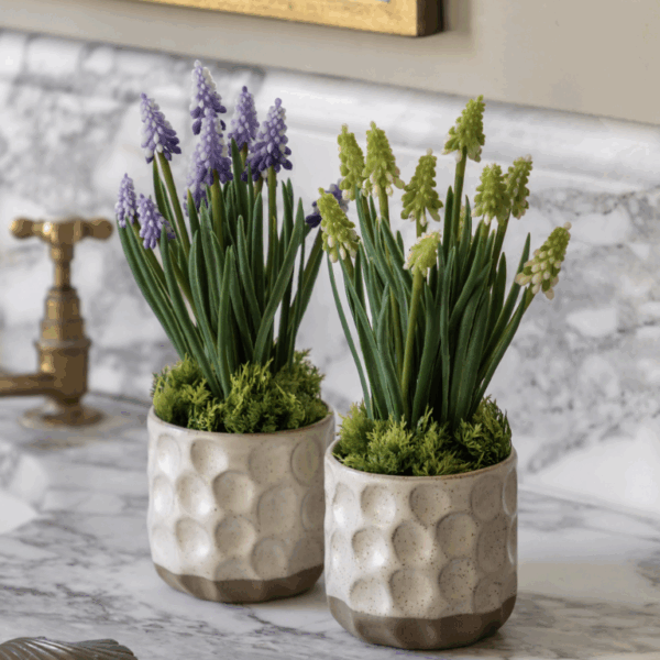 spring hydrangea in ceramic pots set of 2 (copy)