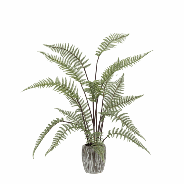 tall fern in textured grey ceramic pot