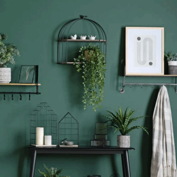 trailing fern in soil green (copy)